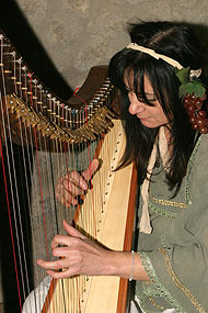 Clicca per ingrandire